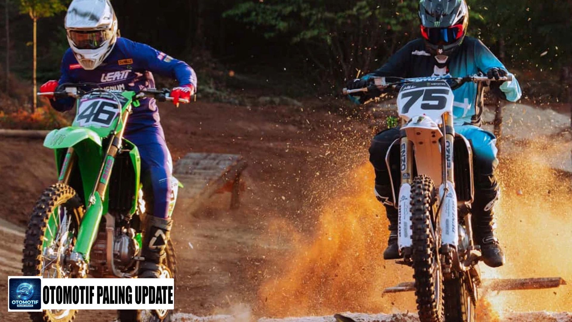 Trek Trail Kayu Ini Dibangun dengan Detail Memukau, Yuk Lihat!